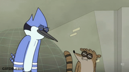 Bird And Raccoon Cartoon With CN GIF