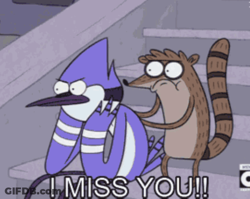 Bird And Raccoon Saying I Miss You GIF
