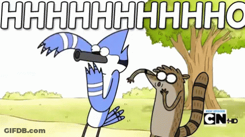 Bird And Raccoon With Tree And Hhhhhhhhh GIF