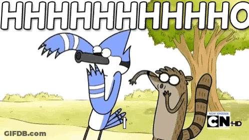Bird And Raccoon With Tree And Hhhhhhhhhho GIF