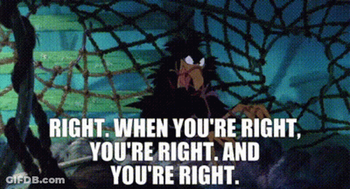 Bird Behind Fence Saying Right When You're Right GIF