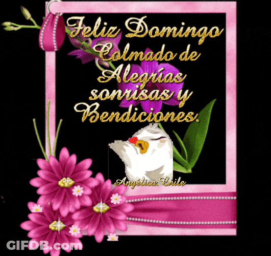 Bird Blowing Kisses Feliz Domingo Text Art GIF