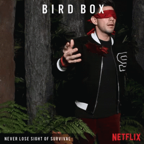 Bird Box Chris Evans Blind Fold GIF
