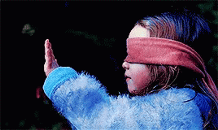 Bird Box Girl Kid Blind Fold GIF