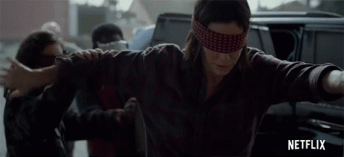 Bird Box Please Dont Hurt Yourself GIF