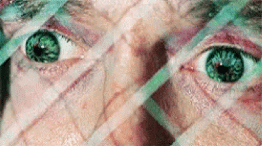 Bird Box Scary Eye GIF