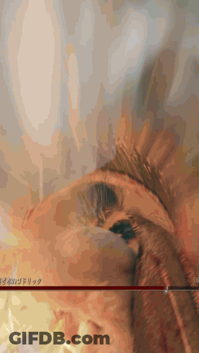 Bird Drawing With Chinese Writing GIF