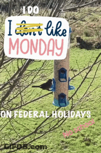 Bird Feeder With Sign Saying I Can't Like Monday On Federal Holidays GIF