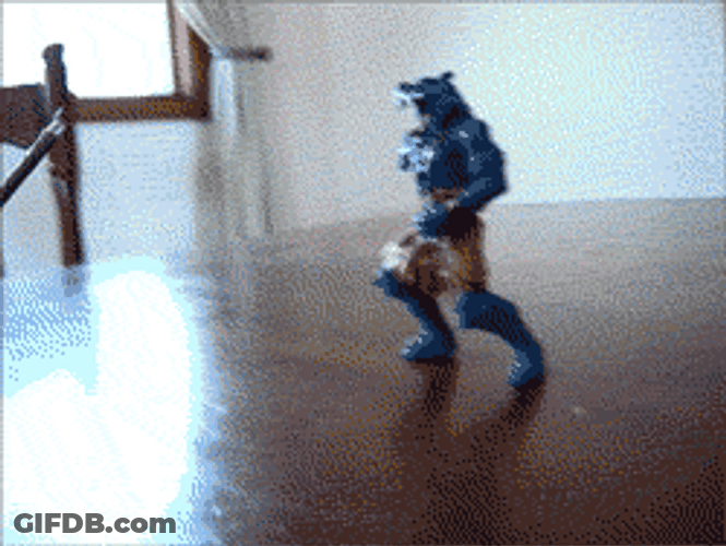 Bird Fighting Toy GIF
