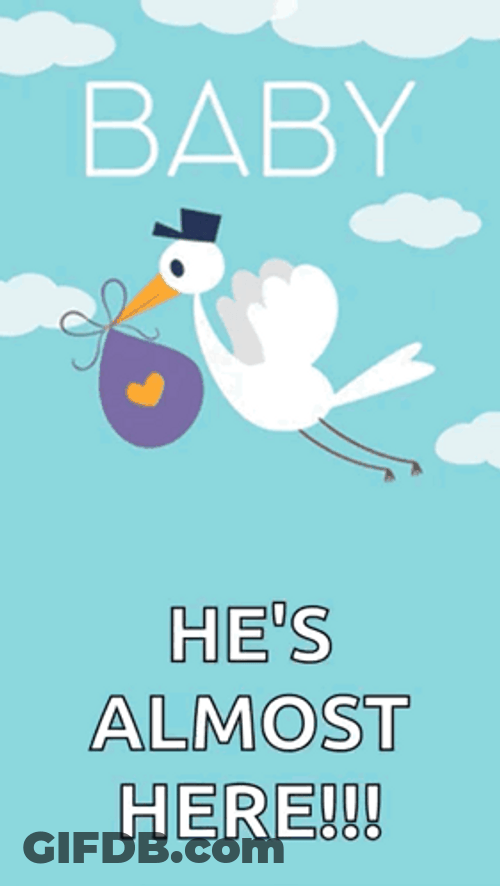 Bird Flying Almost Here GIF