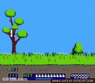 Bird Flying Hit And Shot GIF