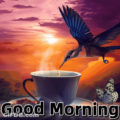 Bird Flying Over Coffee Cup Good Morning GIF