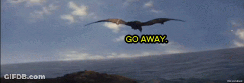 Bird Flying Over Ocean Saying Go Away GIF