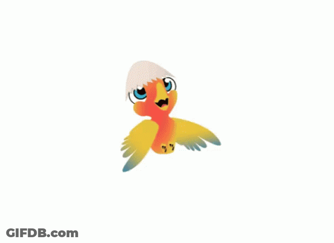 Bird Flying GIF