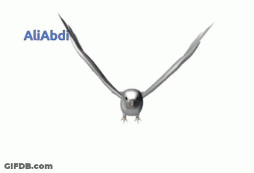 Bird Flying With Aliabdi GIF