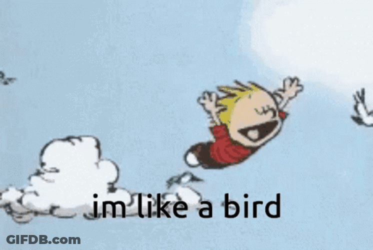 Bird Flying With Kid GIF