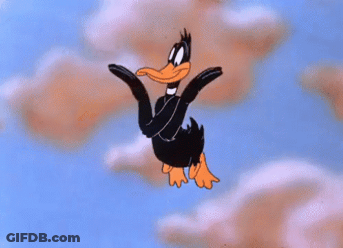 Bird Flying GIF
