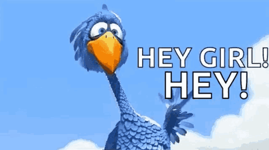 Bird Hey Girl GIF