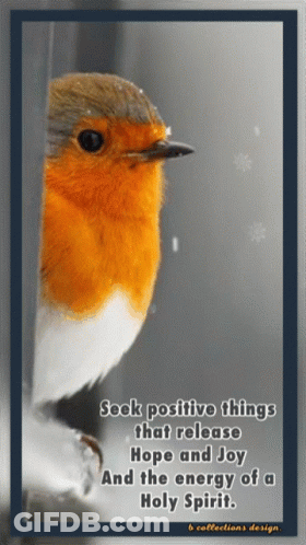 Bird Holding Apples Fall Is Here GIF