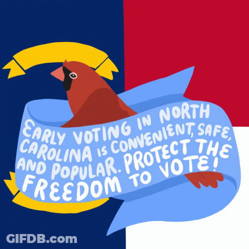 Bird Holding Blue Banner Early Voting North Carolina GIF