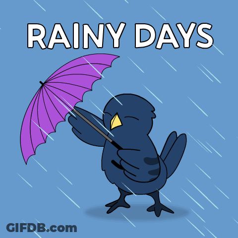 Bird Holding Purple Umbrella Rainy Days GIF