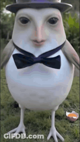 Bird In Hat And Bow Tie GIF