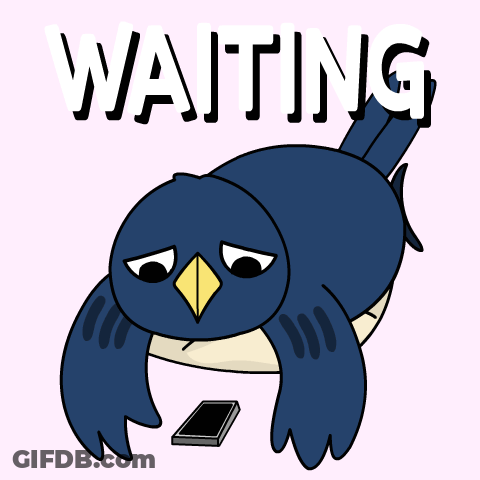 Bird Laying On Ground Saying Waiting GIF