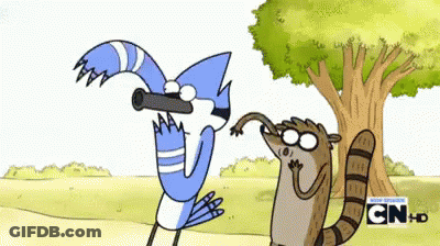 Bird Looking Through Telescope Next To Raccoon GIF