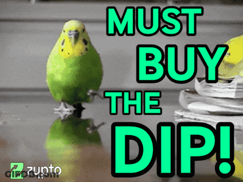 Bird Must Buy The Dip GIF