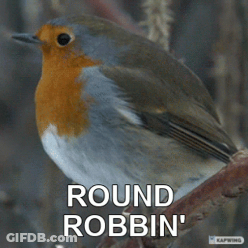 Bird On Branch Saying Round Robbin GIF