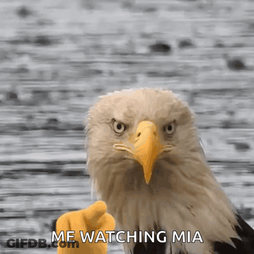 Bird On Branch Says When Someone Asks For Eagle GIF