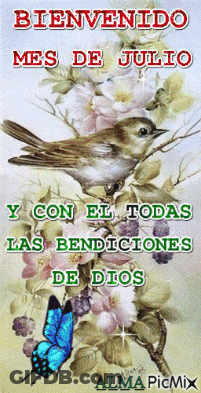 Bird On Branch Welcoming July GIF