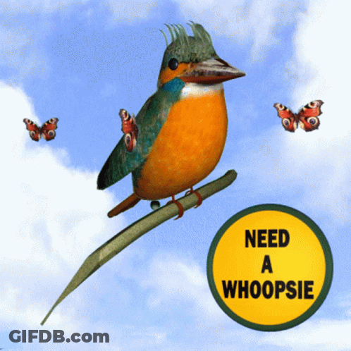 Bird On Branch With Need A Whoopsie Sign GIF