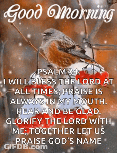 Bird On Branch With Psalm 34 Quote GIF