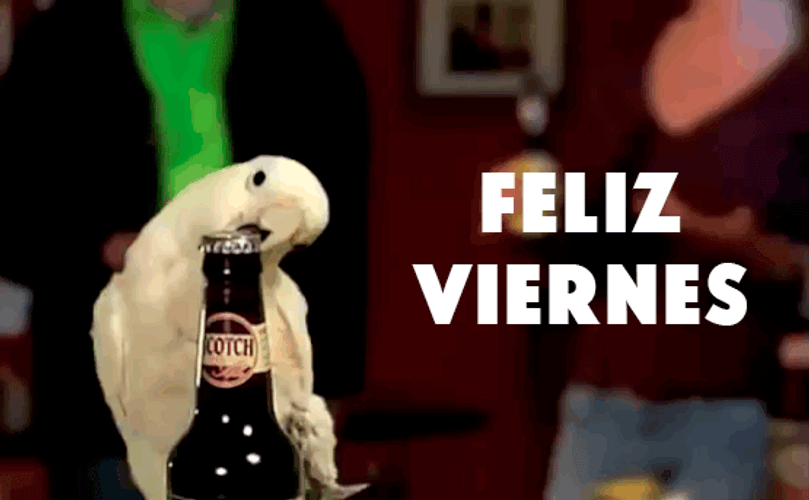 Bird Opening Beer Feliz Viernes GIF