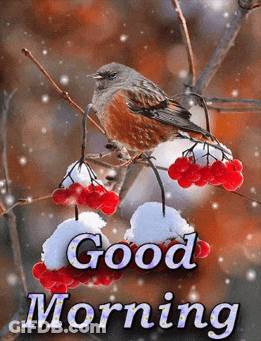 Bird Perched On Branch With Red Berries GIF