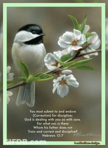 Bird Perched On Flower Branch With Bible Verse GIF