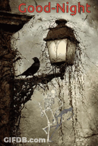 Bird Perched On Lamp Post Saying Good Night GIF