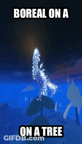 Bird Saying Boreal On Tree GIF