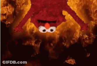 Bird Saying Don't Even Joke Lad GIF