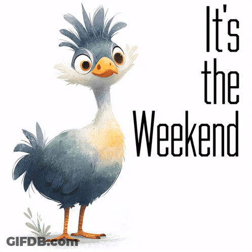 Bird Saying It's The Weekend GIF