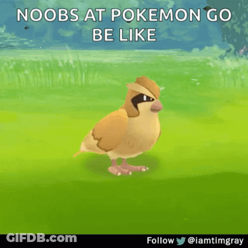 Bird Saying Noobs At Pokemon Go Be Like GIF