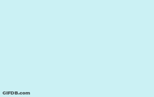 Bird Saying Really GIF