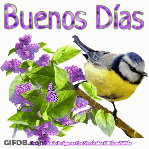 Bird Sitting On Branch With Purple Flowers GIF