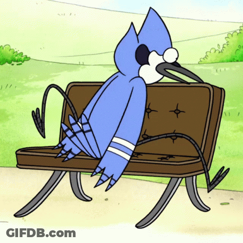 Bird Sitting On Park Bench GIF