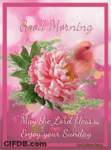Bird Sitting On Pink Flower GIF