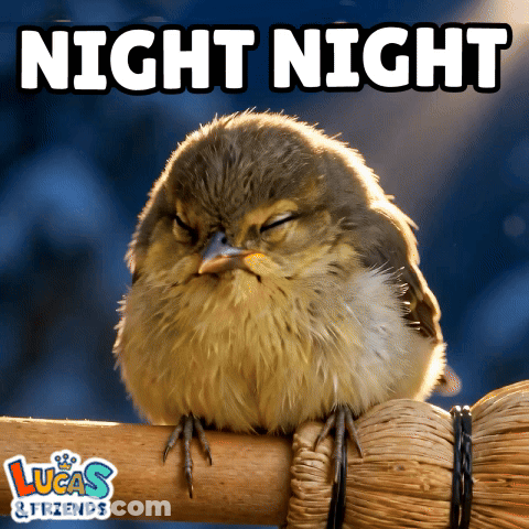 Bird Sitting On Wicker Post Saying Night Night GIF