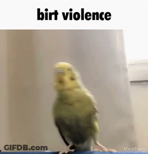 Bird Standing On Blue Ledge Birt Violence GIF