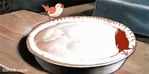 Bird Standing On Bowl Of Milk GIF