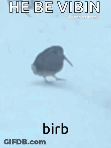 Bird Standing On Snowy Surface Saying He Be Vibin Birb GIF
